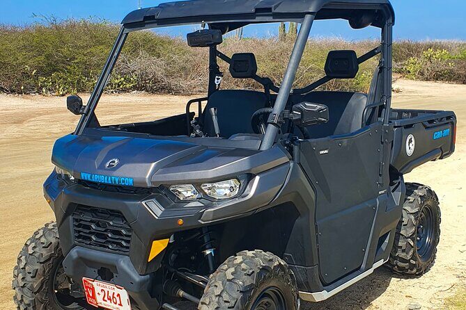 Aruba Rental Explore On Your Own - The Real Experience: What You Can Expect