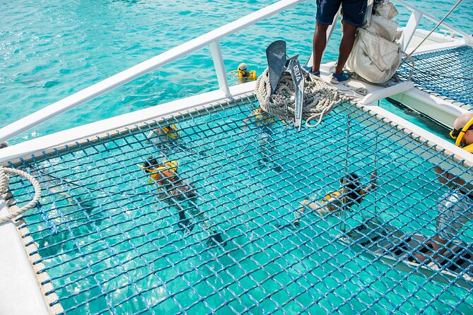 Aruba Sail and Snorkel With Crafted Cocktails - Customer Feedback: Positive Experiences