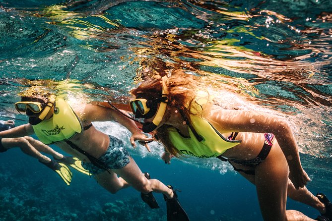 Aruba Sail and Snorkel With Crafted Cocktails - Customer Feedback: Recommendations