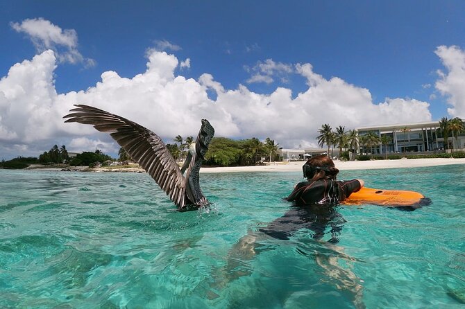 Aruba Seabob Scooter Reef Tour  - Underwater Exploration