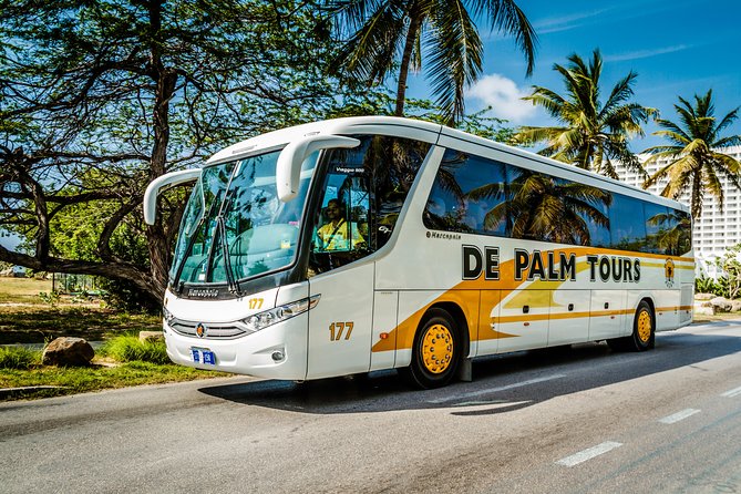Aruba Sightseeing Tour With Transport - Key Points