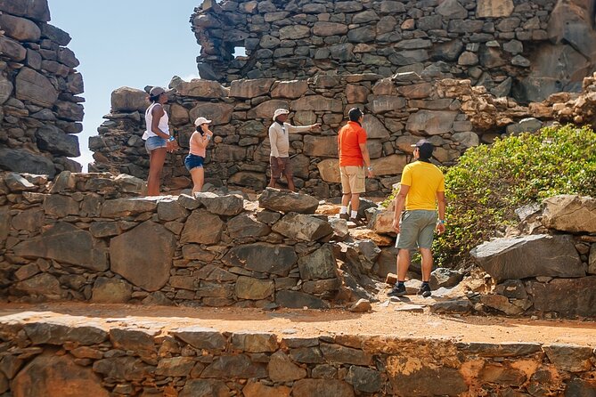 Aruba Sightseeing Tour With Transport - Aruba Aloe Factory and Butterfly Farm