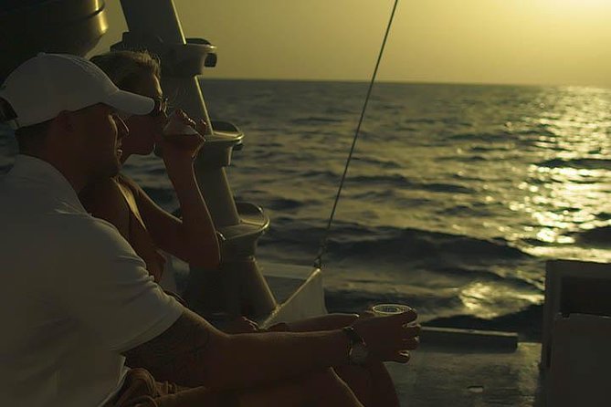 Aruba Sunset Sail Cruise Aboard the Dolphin Catamaran - Recommendations and Tips