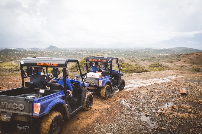 Aruba UTV Adventure Afternoon Tour - Safety and Accessibility