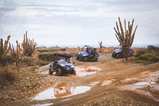Aruba UTV Adventure Afternoon Tour - Discovering Fontein Cave