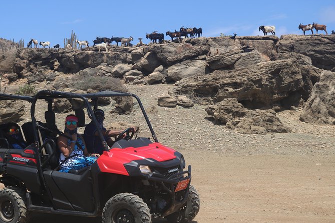 Aruba UTV, ATV Adventure to Secret Beach and Cave Pool - Health and Safety Considerations