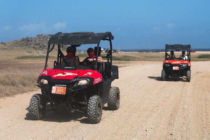 Aruban Roots 3 Hours Adventure by ATV & UTV With Kini Kini - Health and Safety Considerations