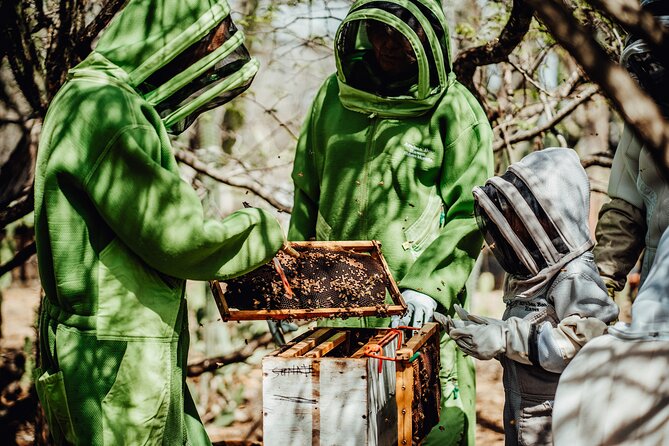 Aruba's Bee Haven Private Adventure - Tour Details and Inclusions
