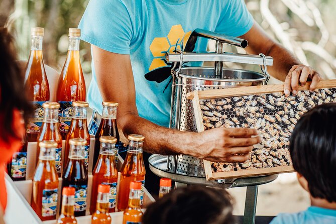 Aruba's Bee Haven Private Adventure - Hands-on Bee Encounter