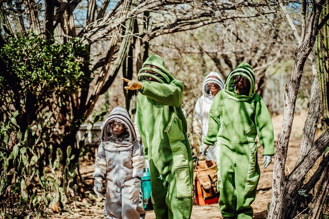 Aruba's Bee Haven Private Adventure - Preserving Bee Populations