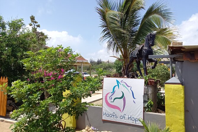 Arubas Ecological Trails and Urirama Beach Ride. - Booking and Reservation Process