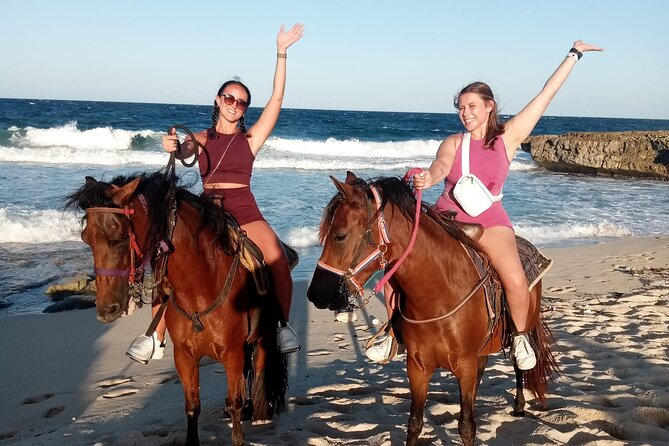 Arubas Ecological Trails and Urirama Beach Ride. - Encounter With Local Fauna