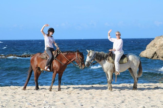 Arubas Northern Coast Horseback Adventure - Meeting and Logistics Information