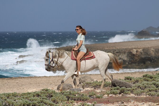 Arubas Northern Coast Horseback Adventure - Included Amenities and Offerings