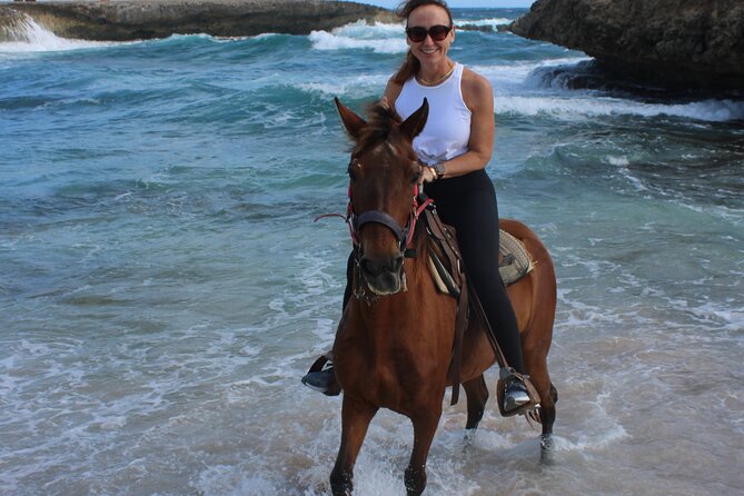 Arubas Northern Coast Horseback Adventure - Guest Feedback and Experiences