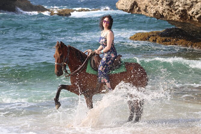 Arubas Northern Coast Horseback Adventure - Exploring the Unique Ecosystem