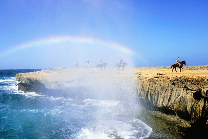 Arubas Northern Coast Horseback Adventure - Suitable for All Experience Levels