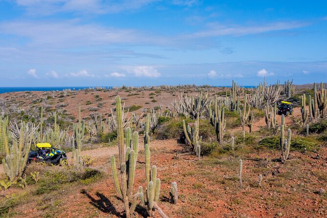 Arubas Wild Side - UTV Tour Exploring the Northern Treasure - Health and Safety