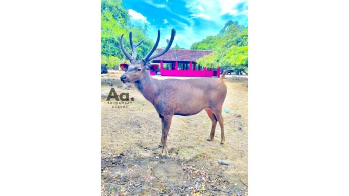 Arugambay: Cultural Excursion & Ancient Visit - Frequently Asked Questions