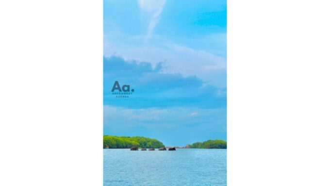Arugambay: Mangrove Watching in Pottuvil Lagoon - Recap