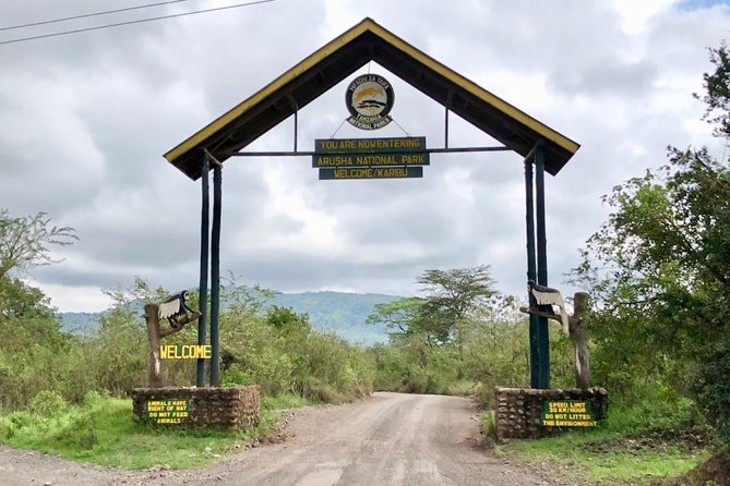 Arusha National Park Guided Day Tour From Arusha - Itinerary and Activities