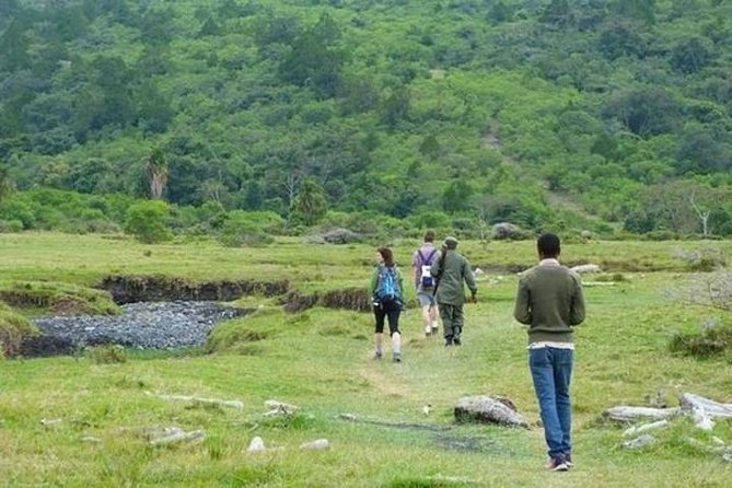 Arusha National Park Guided Day Tour From Arusha - Hiking on Mount Meru