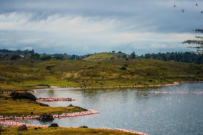 Arusha National Park Guided Day Tour From Arusha - Tour Inclusions and Pricing