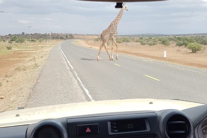 Arusha National Park Half Day Tour - Tour Inclusions