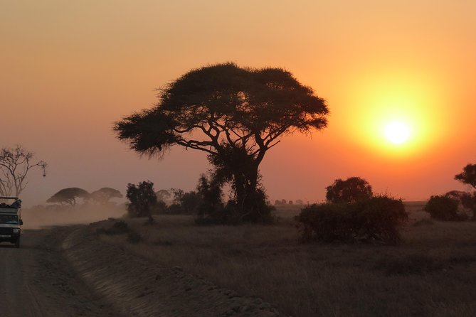 Arusha National Park Safari by Jeep - Safari Experience in a Jeep