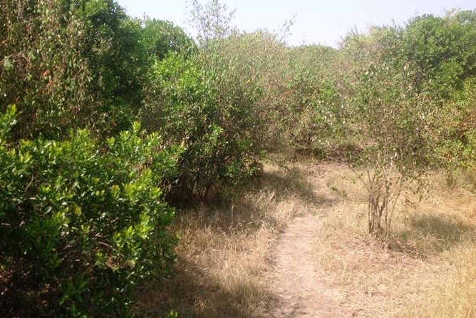 Arusha National Park Safari by Jeep - Tips for a Memorable Safari