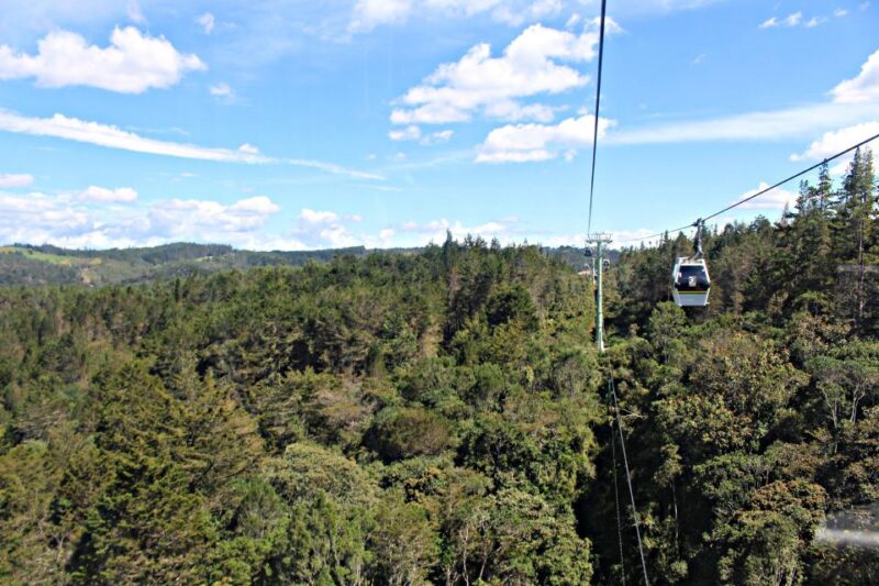Arvi Park: Walking Tour by Metrocable - Highlights of the Experience