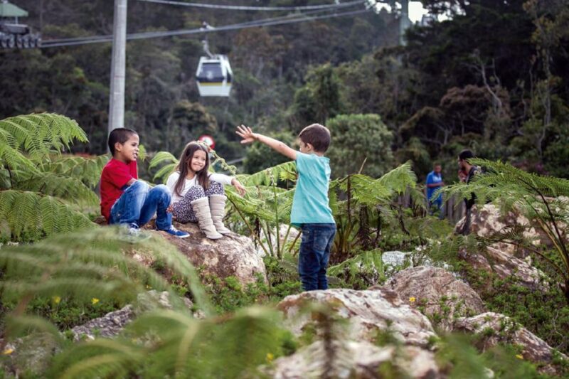 Arvi Park: Walking Tour by Metrocable - Cancellation and Payment Policies