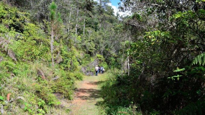 Arvi Park: Walking Tour by Metrocable - Getting to Parque Arvi
