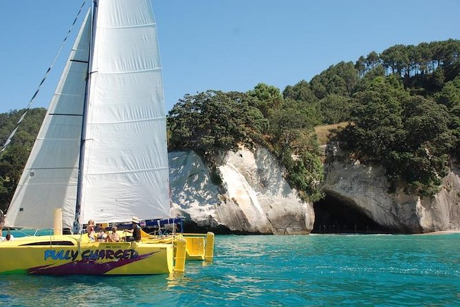 Arvo of Goodness Chilled Out Sail (3.5hrs) - Included Amenities