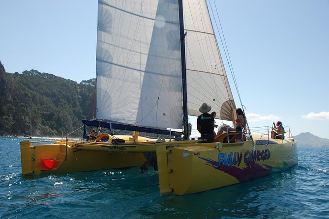 Arvo of Goodness Chilled Out Sail (3.5hrs) - Booking Flexibility