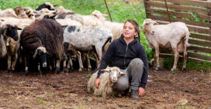 Arzana: Day With a Shepherd W/ Lunch in a Farm - Customer Testimonial