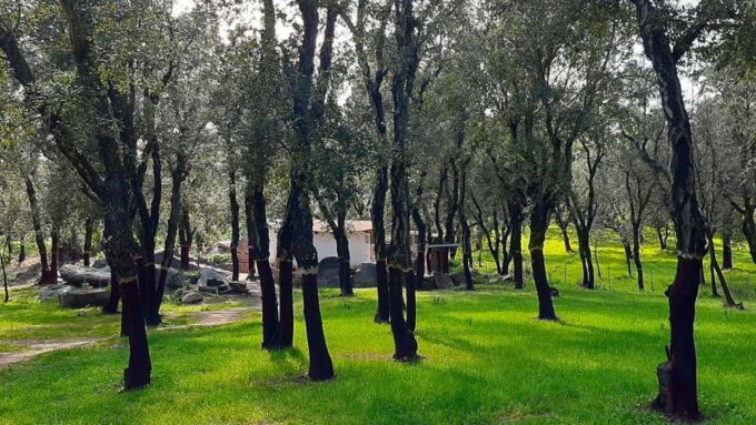 Arzana: Day With a Shepherd W/ Lunch in a Farm - Frequently Asked Questions