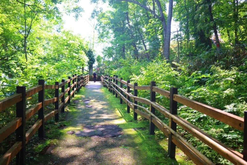 Asahikawa: Immersive 1-day Culture and Culinary Tour - Customizable Afternoon Activities