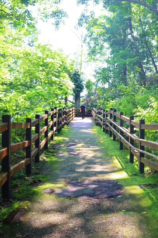 Asahikawa: Immersive 1-day Culture and Culinary Tour - Hiking Mt. Arashiyama