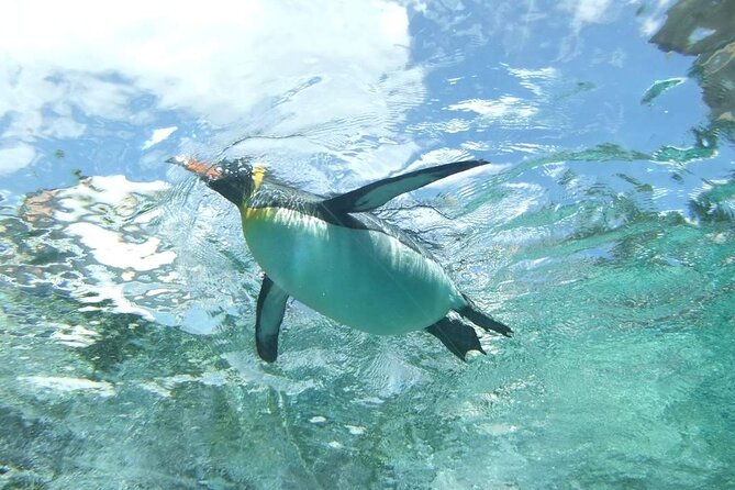 Asahiyama Zoo One-Day Tour - Inclusions and Exclusions