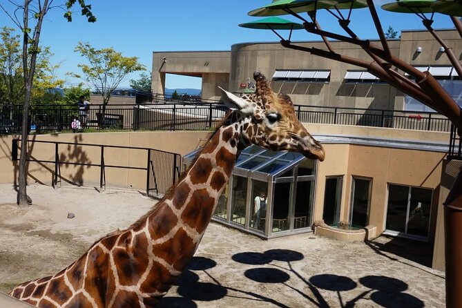 Asahiyama Zoo One-Day Tour - Recommended Attire and Accessories