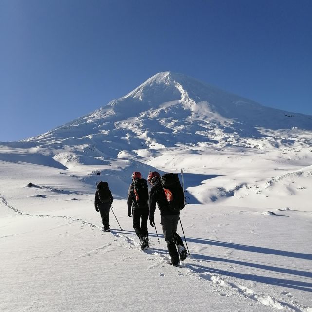 Ascent to Llaima Volcano, 3,125 Meters Above Sea Level, From Pucón - Key Points