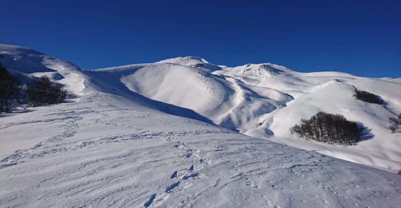 Ascent to Quetrupillán Volcano 2370masl, From Pucón - Experience Highlights