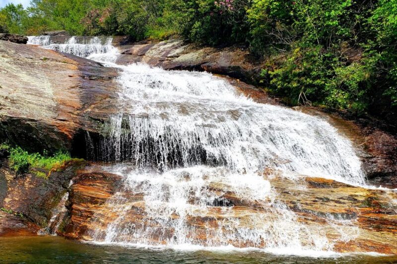 Asheville: Blue Ridge Mountains Tour for Children! - Experience Highlights