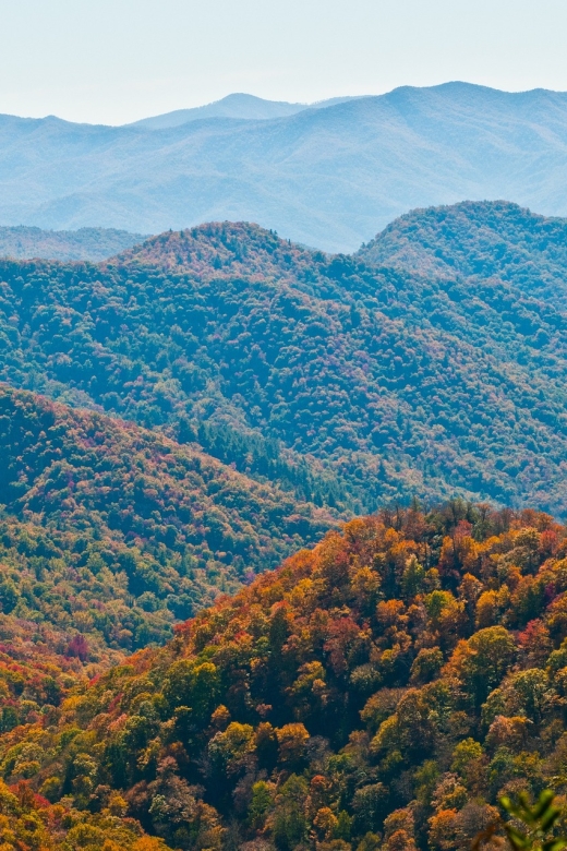 Asheville: Blue Ridge Mountains Tour for Children! - Inclusions and Amenities