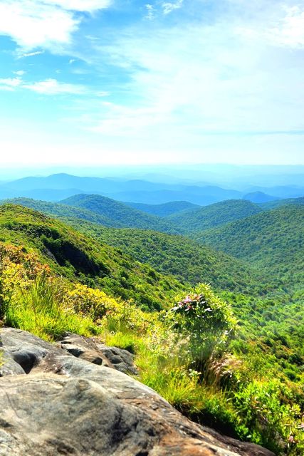 Asheville: Blue Ridge Mountains Tour for Children! - Meeting Point