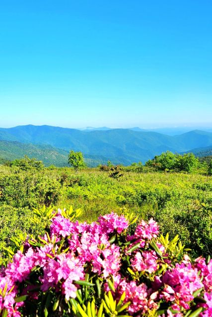 Asheville: Blue Ridge Mountains Tour for Children! - What to Bring