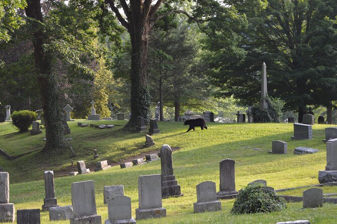 Asheville Ghost Tour: A Walk Through Riverside Cemetery & Montford Neighborhood - Getting to the Meeting Point