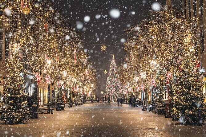 Asheville Holiday Season City Tour - The Introduction: A Sparkling Night in Asheville