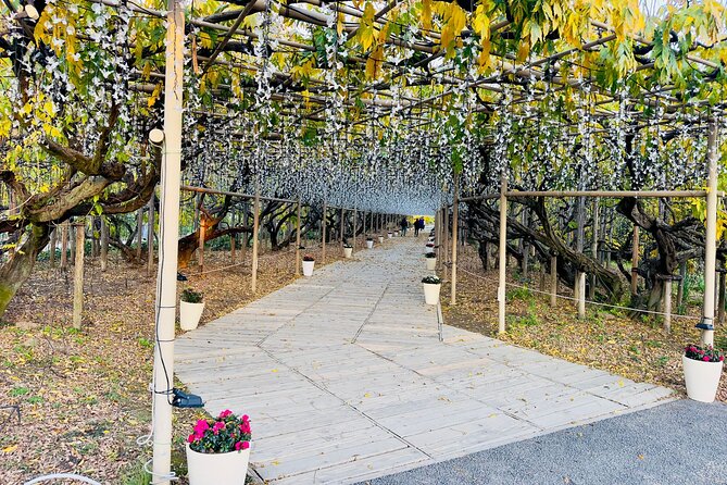 Ashikaga Flowers Park and Sano Outlets Private Day Tour - Private Transportation and Convenience